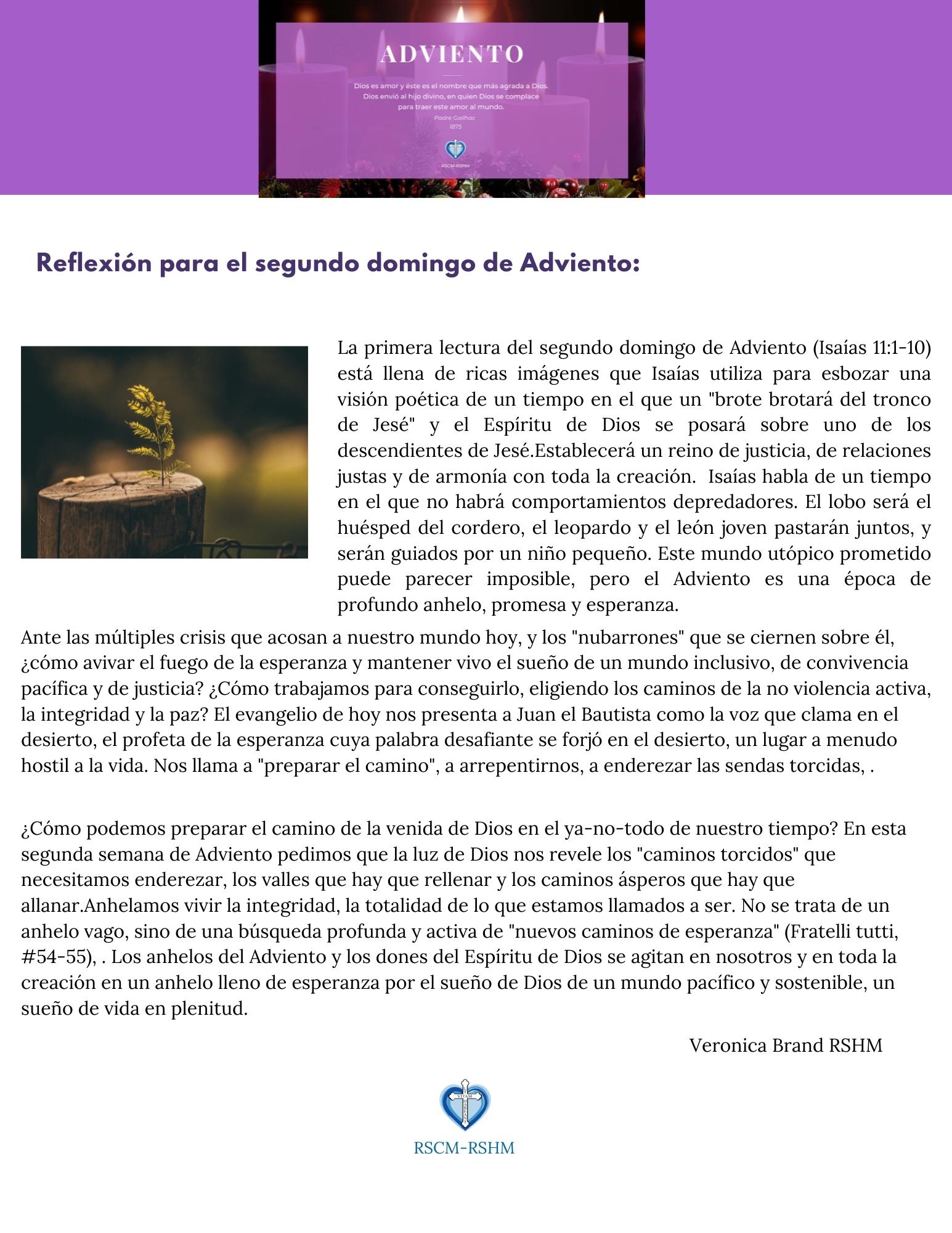 Reflexión para el segundo domingo de Adviento Religious of the Sacred Heart of Mary